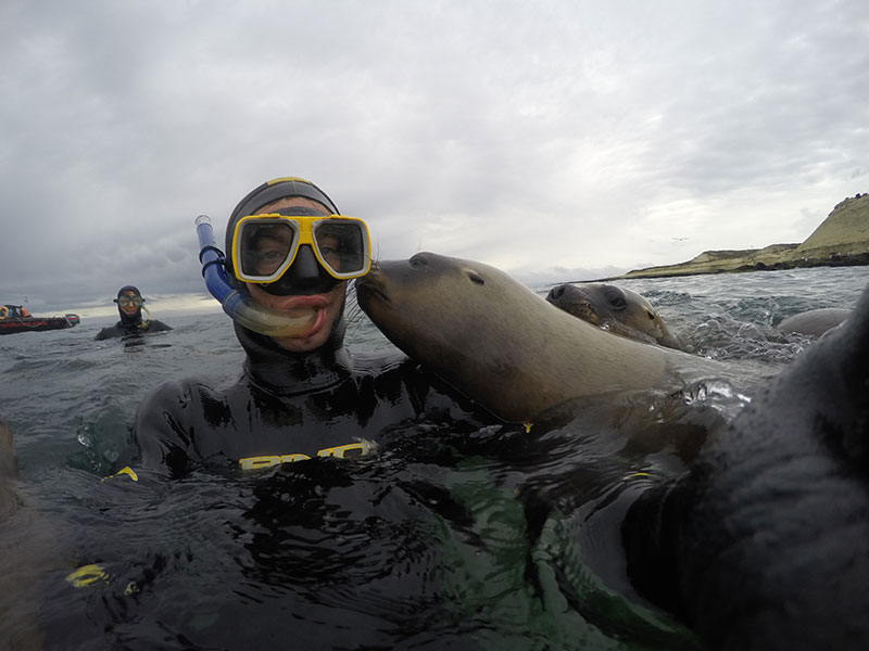 Snorkel con lobos Marinos en Puerto Madryn